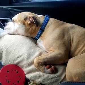 Meet your Posher, Salu